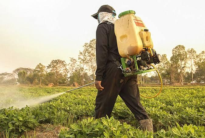 شركة رش مبيدات بالرس